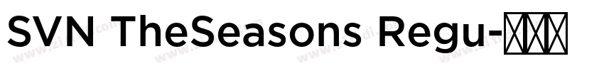 SVN TheSeasons Regu字体转换 SVN TheSeasons Regu字体转换